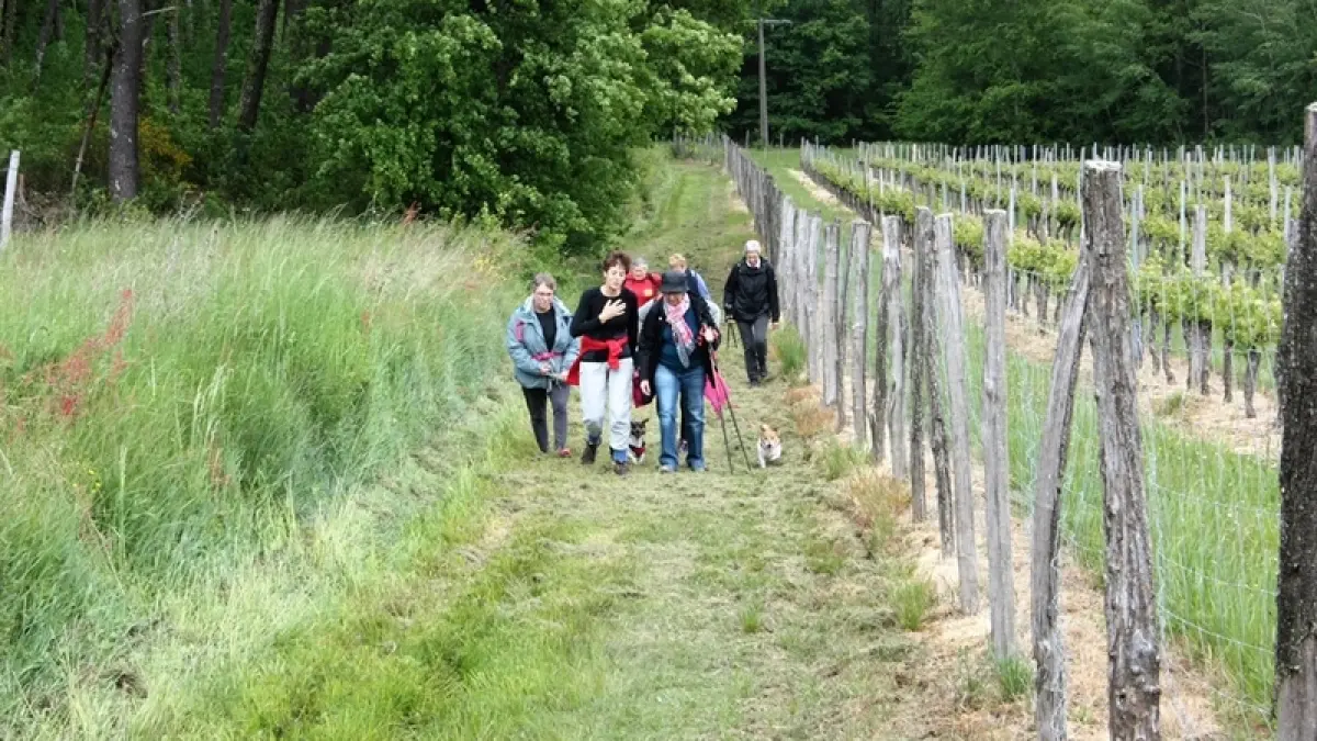 Boucle du Talley à Montignac
