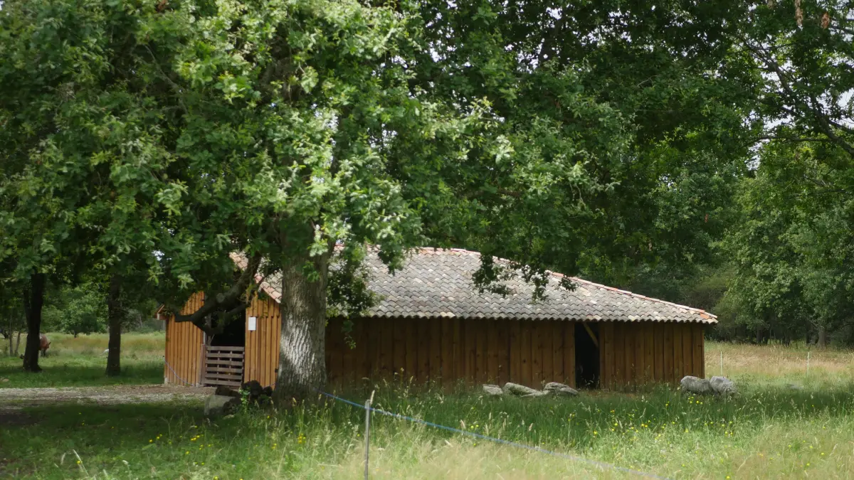 Bergerie des Matruques