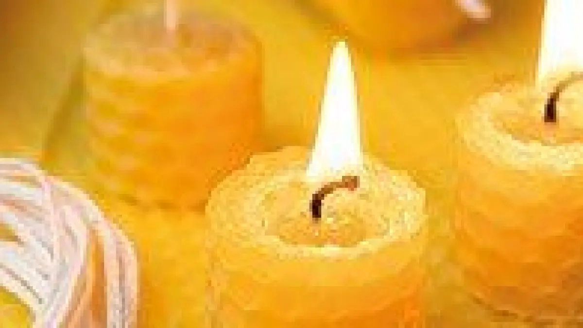 LE MURMURE DES ABEILLES