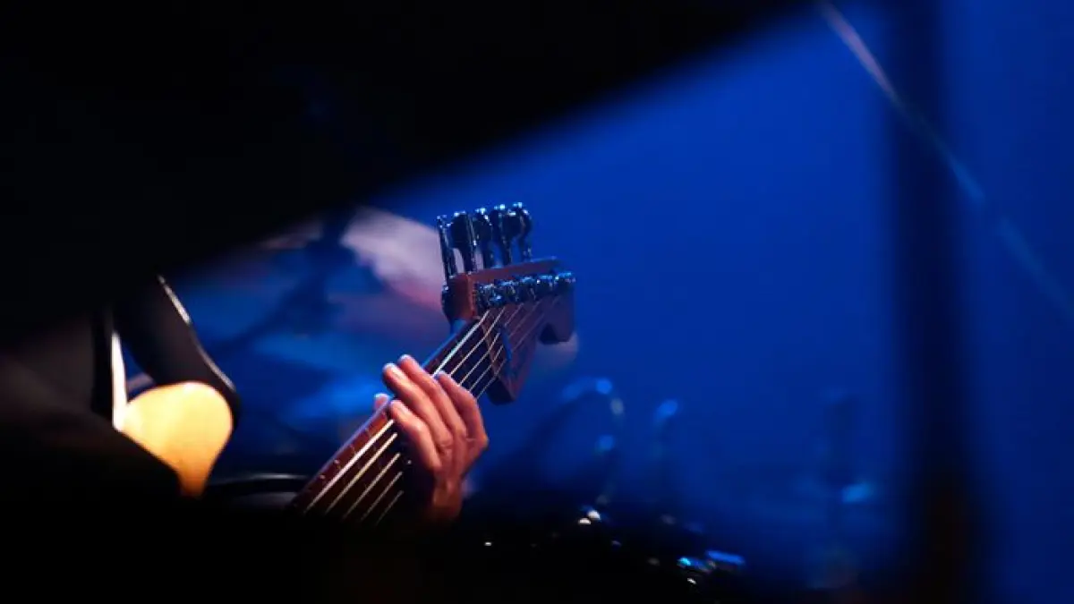 Spectacle Tribute Joe Cocker