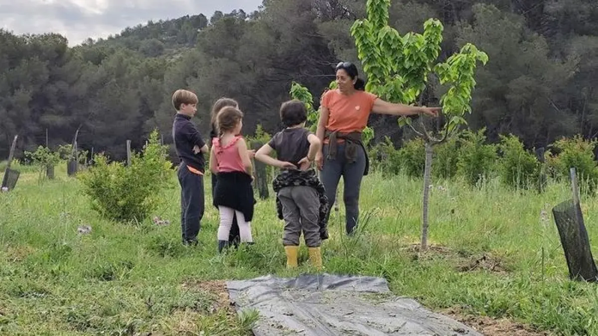 Cueillette de grenades à Martigues : Dégustation et récolte en famille
