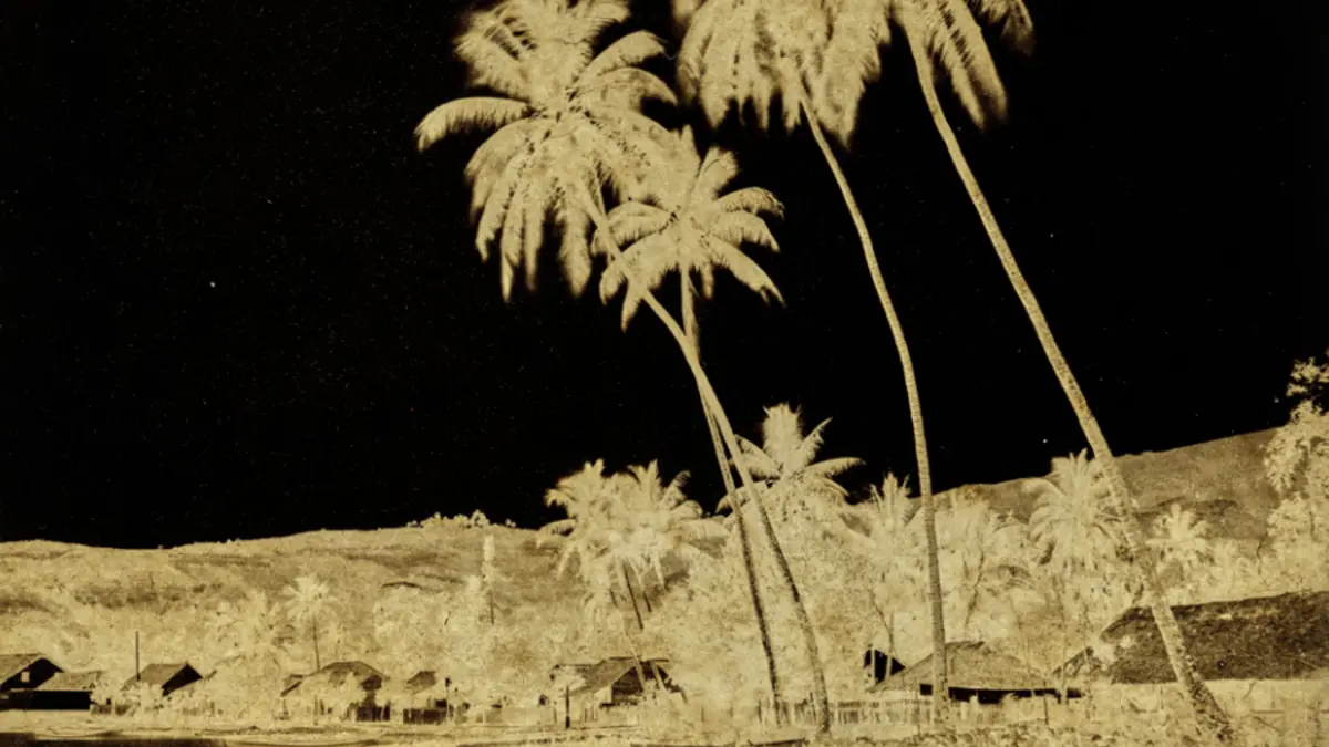 Voir Tahiti. Premières photographies 1859-1870