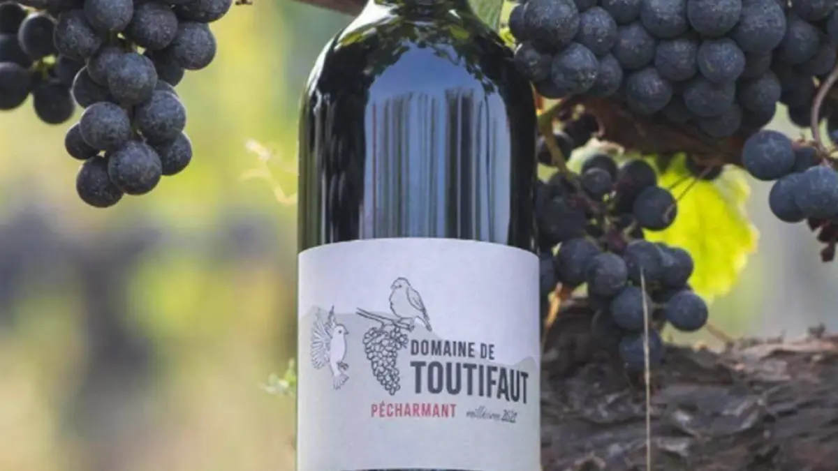 Domaine de Toutifaut | Visite & dégustation