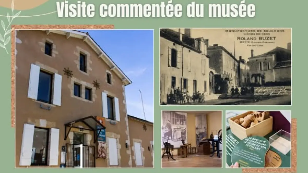 Musée du liège : Visites guidées