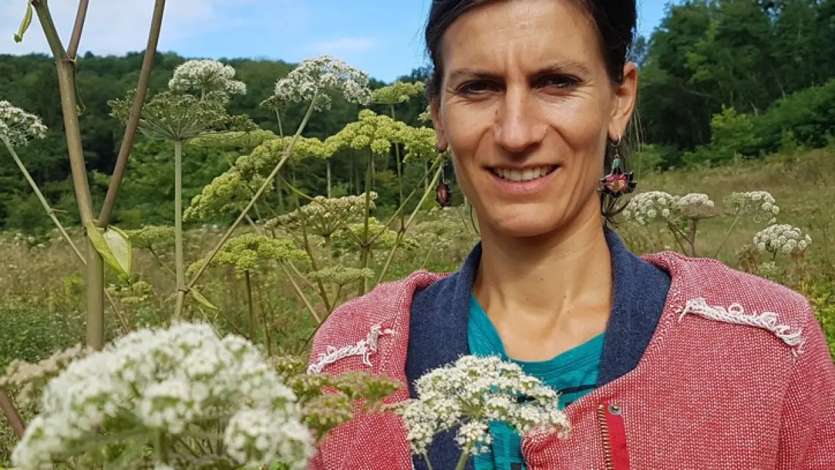 Ateliers "avec les plantes"