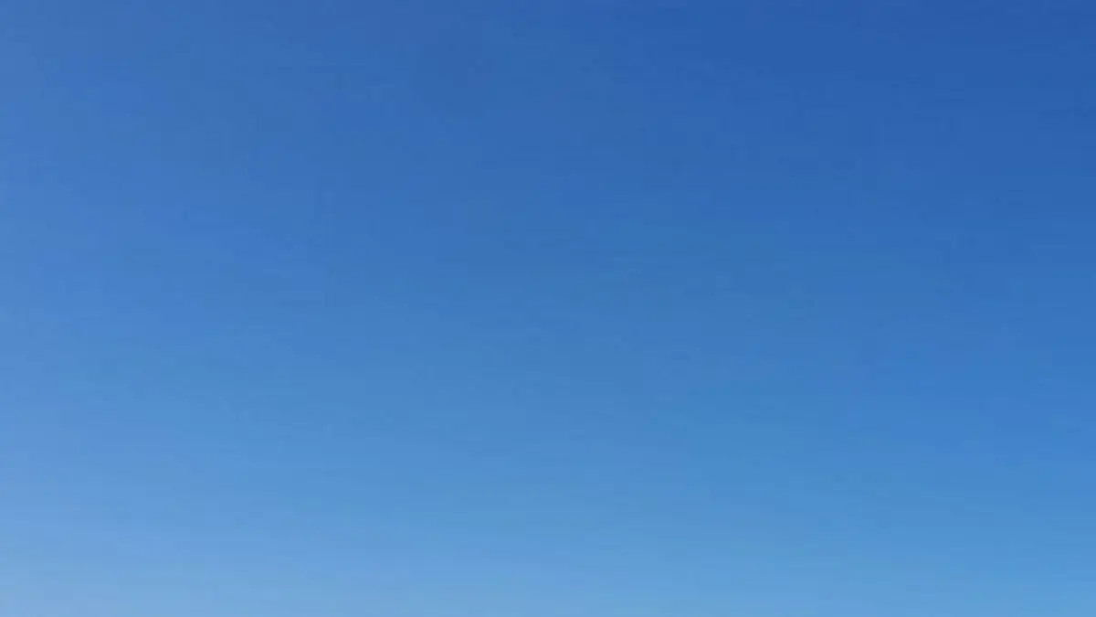 Ramassage des déchets sur le littoral de la Réserve de Beauguillot