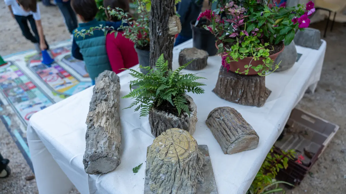 Fête des jardins : le 10e célèbre la nature en ville !