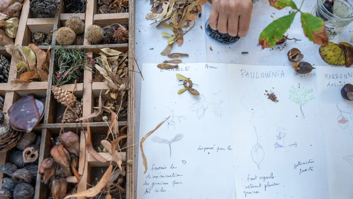 Fête des jardins : Paris Centre célèbre la nature en ville !