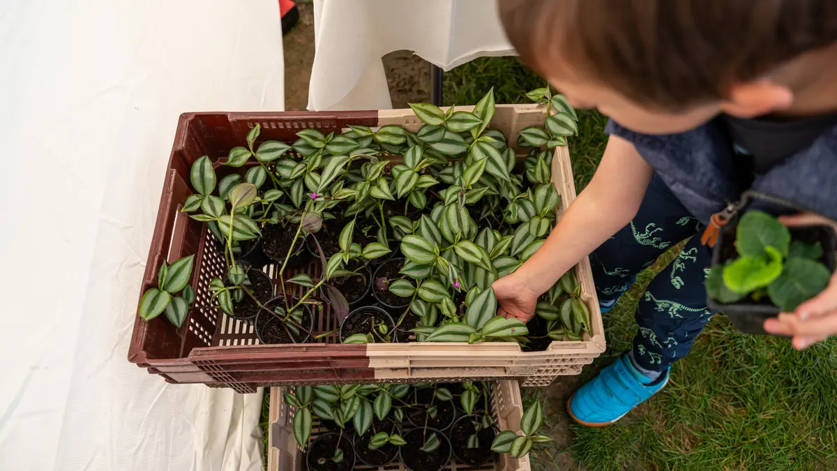 Fête des jardins : le 6e célèbre la nature en ville !