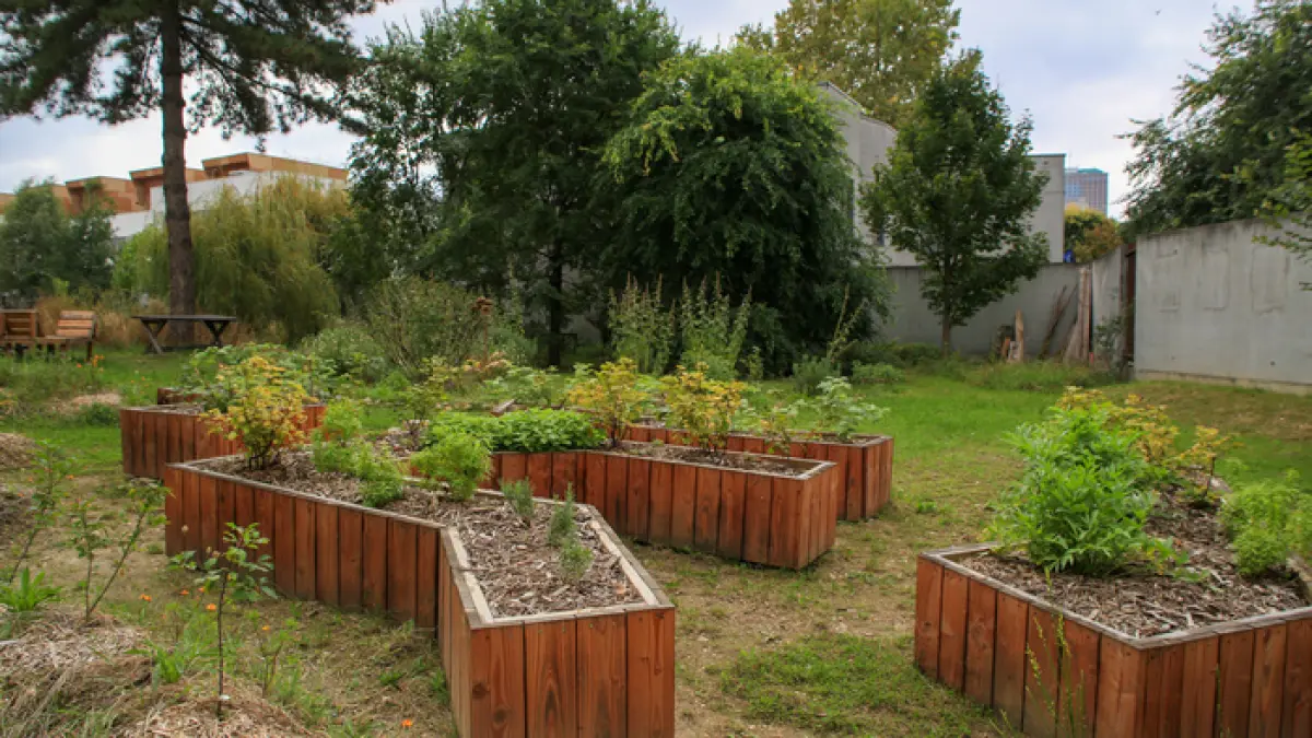 Jardins ouverts à la Cour Jardinée : ventes et rencontres