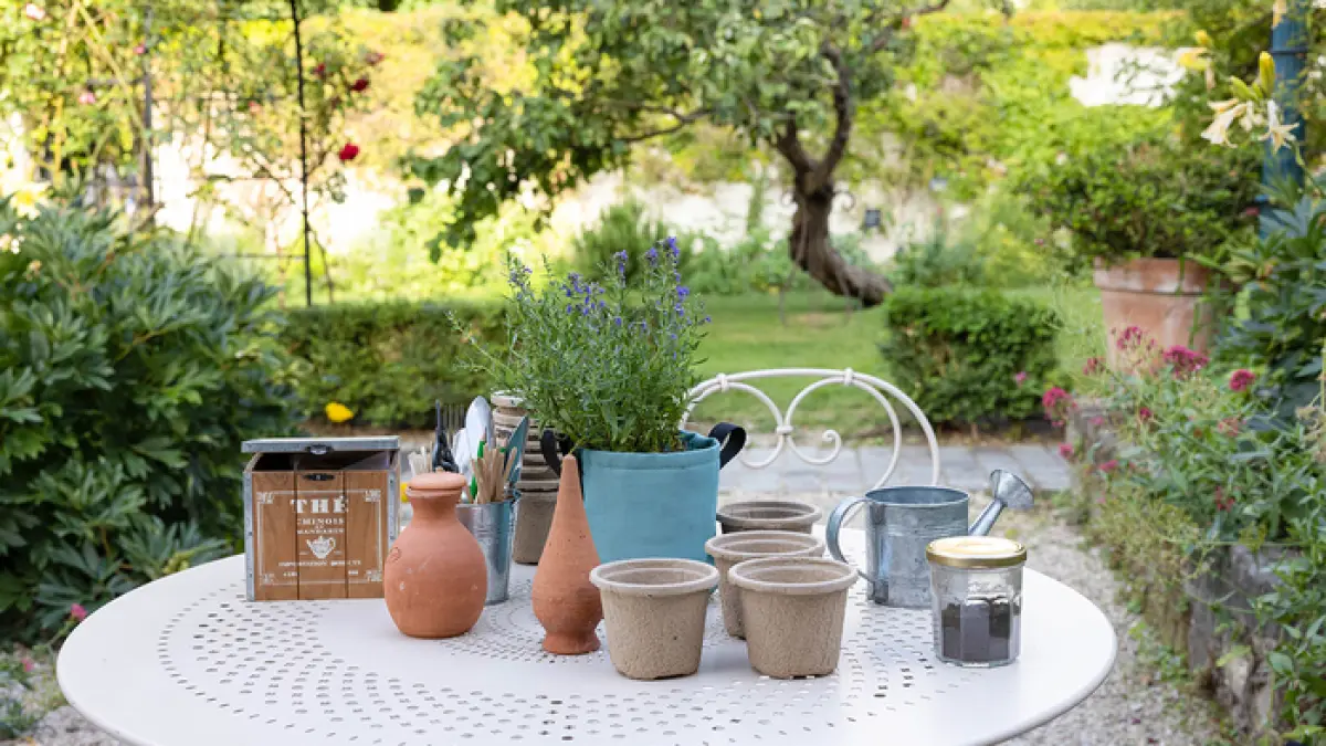Atelier Potager de balcon