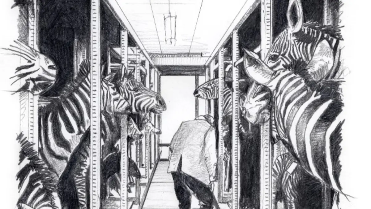 Exposition Animaux et culture
