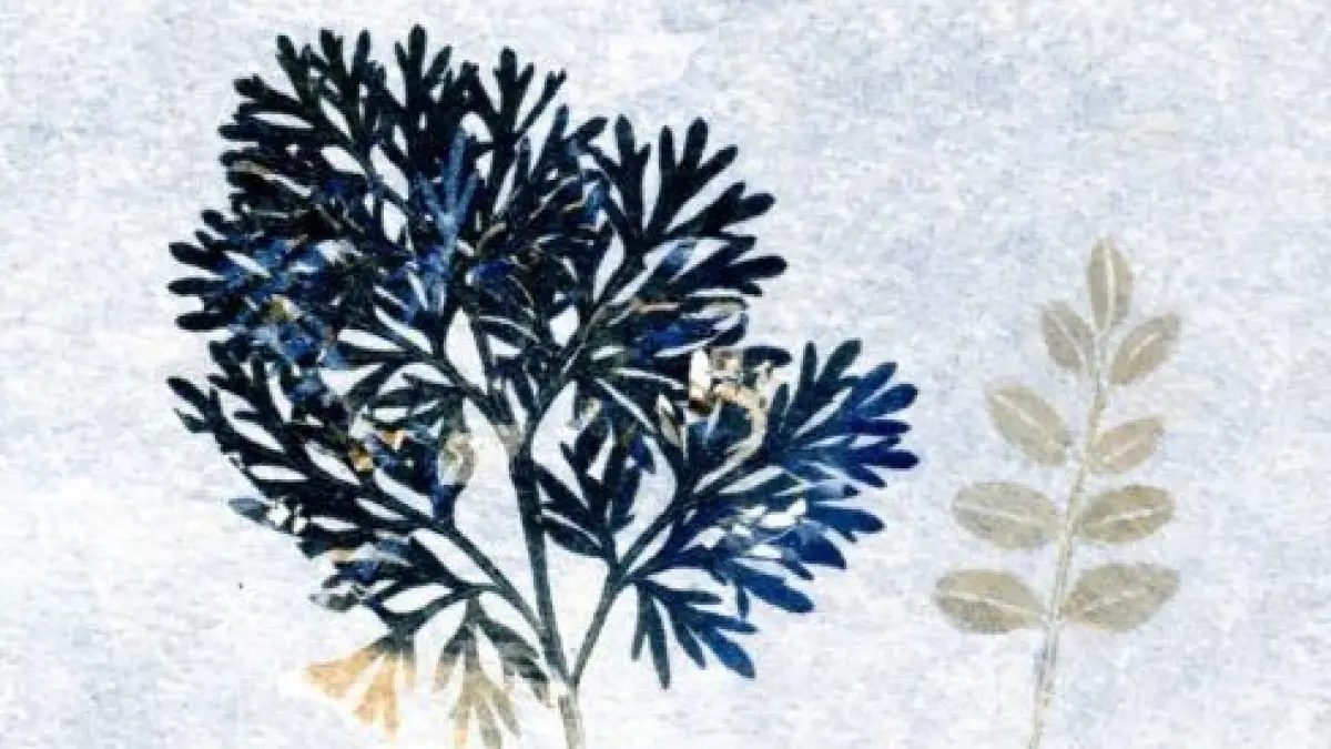 Le monotype : entre gravure et peinture / avec l'Académie d'art de Meudon