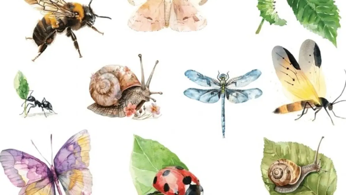 Atelier aquarelle insectes