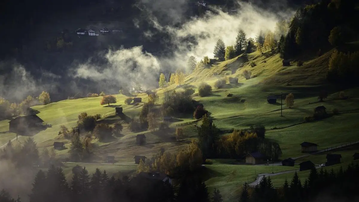 Saison sauvage - expérience immersive nature et création