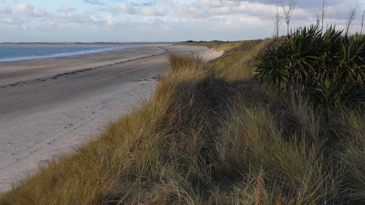 Plage d'Armanville à Pirou