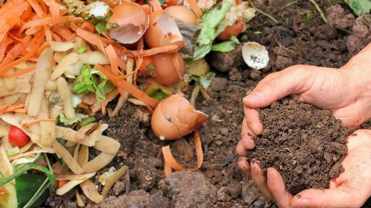 SEVRES - ♻️Découverte du compostage avec un maitre composteur 🌱