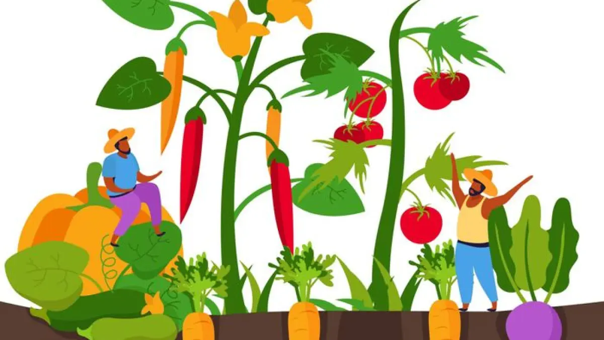 Atelier jardinage : Bouturage sur bois aoûté