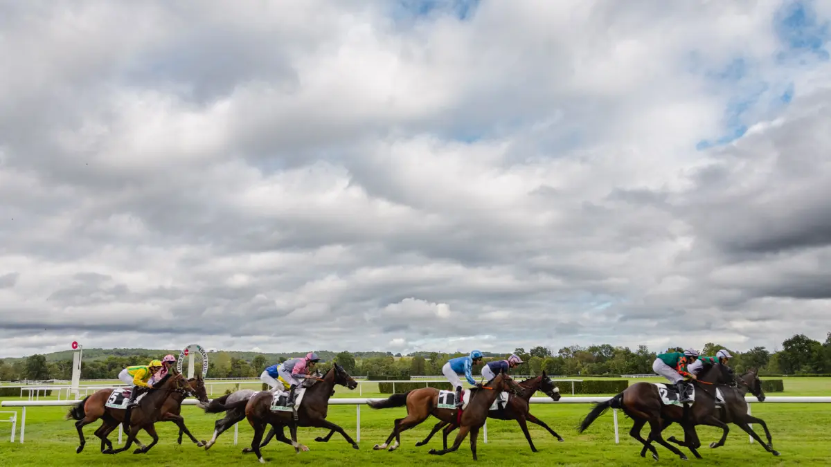 Hippodrome de la Roche-Posay