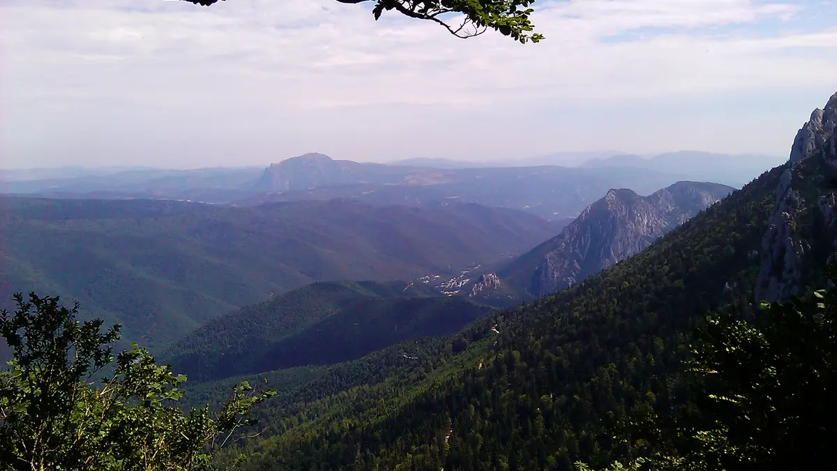 FORET D'EN MALO