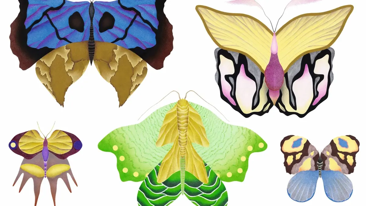 Atelier Papillons avec Juliette Binet