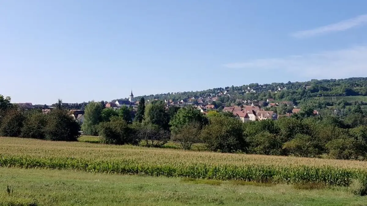 Circuit rando - Autour du Bischenberg