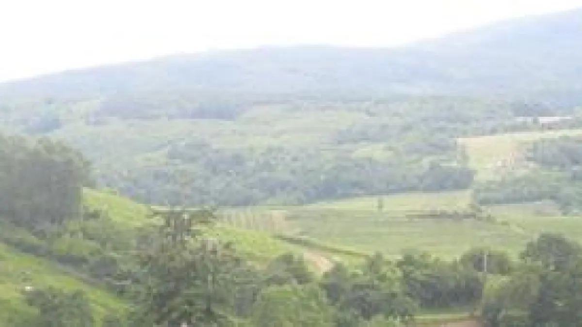 L'Ungersberg